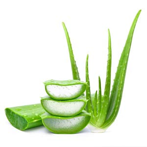 Aloevera