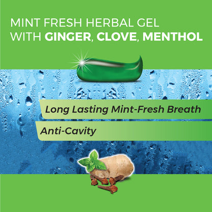 Mint Fresh Herbal Gel Toothpaste with Ginger, Clove & Mint