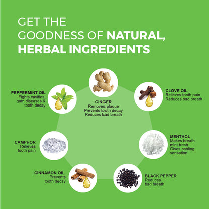 Mint Fresh Herbal Gel Toothpaste with Ginger, Clove & Mint