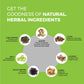 K P Namboodiri’s Herbal Toothpaste